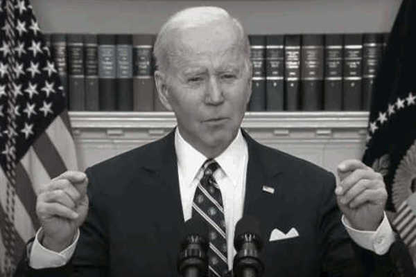 ISIS Siria Turchia Bambini Marketing Nero per Joe Biden