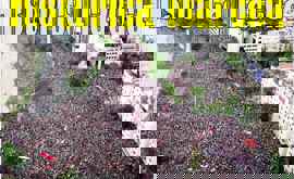 LA MARCHA MAS GRANDE DE CHILE