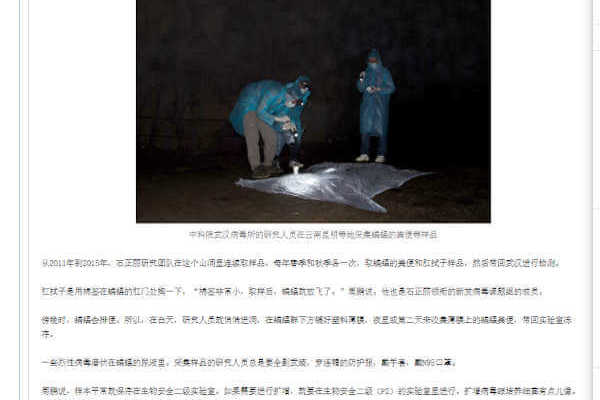 【澎湃新闻】专访“病毒猎人”：在昆明一蝙蝠洞发现SARS病毒所有基因