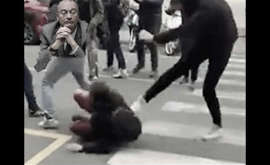 Annalisa Savino, Lettera Antifascista al Ministro Valditara