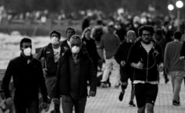 COVID-19, Ho Iniziato la Fase 2