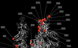 COVID-19, Due Dosi Pfizer Inutili Contro Variante Omicron