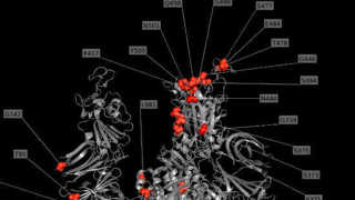 COME USARE LA VARIANTE OMICRON PER SCONFIGGERE COVID-19