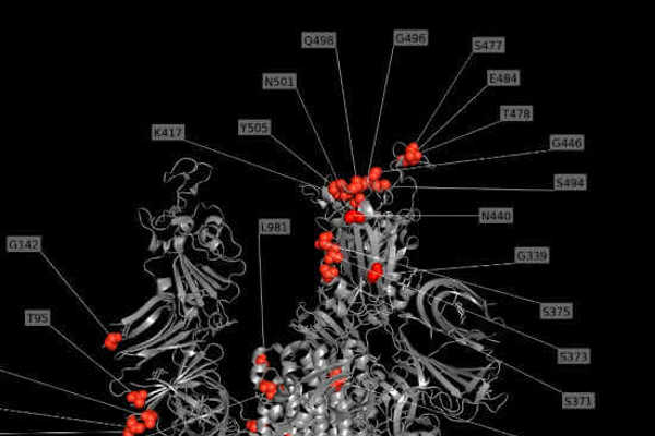 COME USARE LA VARIANTE OMICRON PER SCONFIGGERE COVID-19