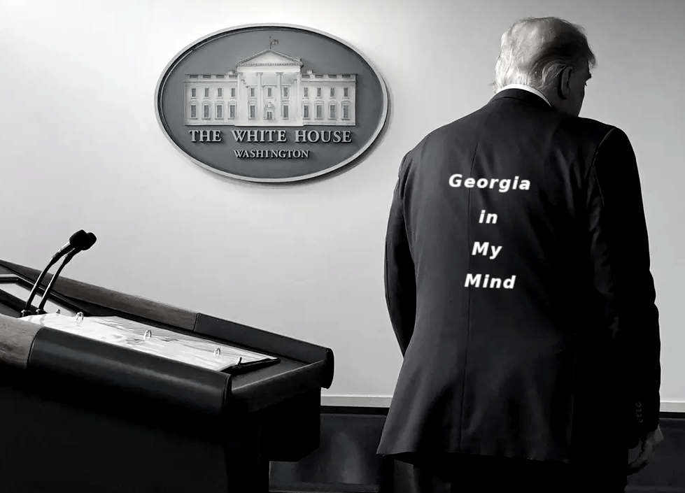 /media/odbonpm5/donald-trump-fired-georgia-inmymind.jpg