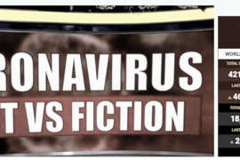 BOB WOODWARD AFFOSSA DONALD TRUMP, SU COVID-19 HA MENTITO
