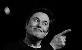 Elon Musk: Cosa Ci Faccio Con Twitter? Un Partito Planetario