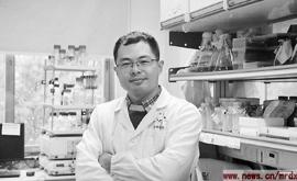 I Pipistrelli del Dottor Peng Zhou all'Origine del Coronavirus?