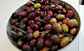 GLOBAL WARMING LE MIE OLIVE RINGRAZIANO #COP26BLAHBLAHBLAH