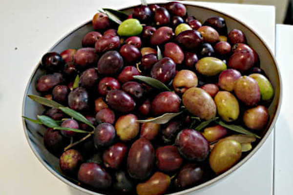 GLOBAL WARMING LE MIE OLIVE RINGRAZIANO #COP26BLAHBLAHBLAH