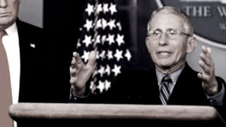 Coronavirus of America, Previsti Fino a 200mila Morti