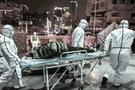 COVID-19, Primo Decesso negli Stati Uniti, Trump Ora Ha Paura