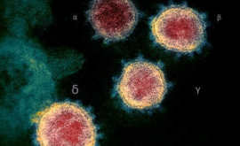 VARIANTE DELTA, IL CORONAVIRUS SI MASCHERA DA RAFFREDDORE