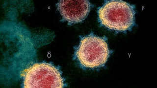VARIANTE DELTA, IL CORONAVIRUS SI MASCHERA DA RAFFREDDORE