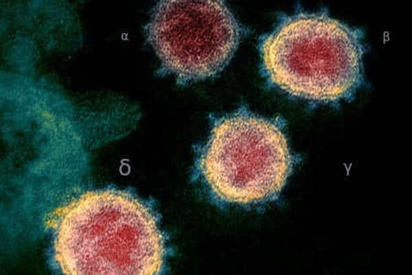VARIANTE DELTA, IL CORONAVIRUS SI MASCHERA DA RAFFREDDORE