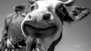 Cambiamenti Climatici, Green Deal e il Manifesto di Assisi