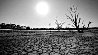 Siccità e Caldo Torrido, Intervista ad un Olivo Senziente