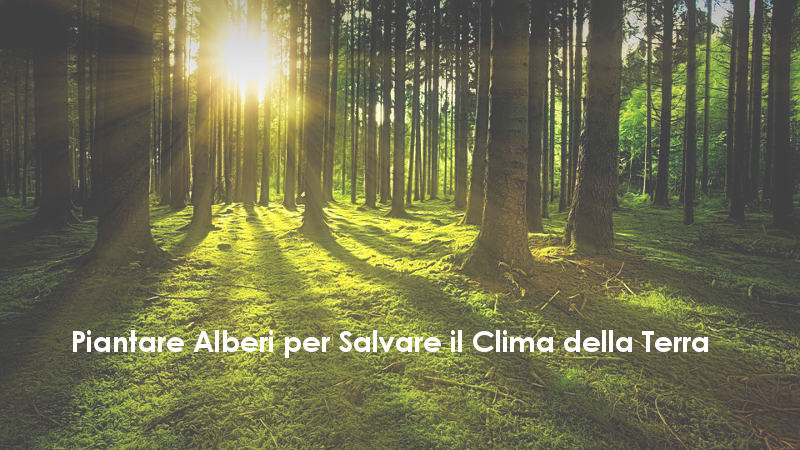 A Madrid Sfila il Vertice sul Clima di Santiago del Cile