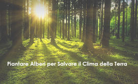 A Madrid Sfila il Vertice sul Clima di Santiago del Cile