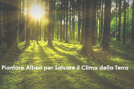 A Madrid Sfila il Vertice sul Clima di Santiago del Cile