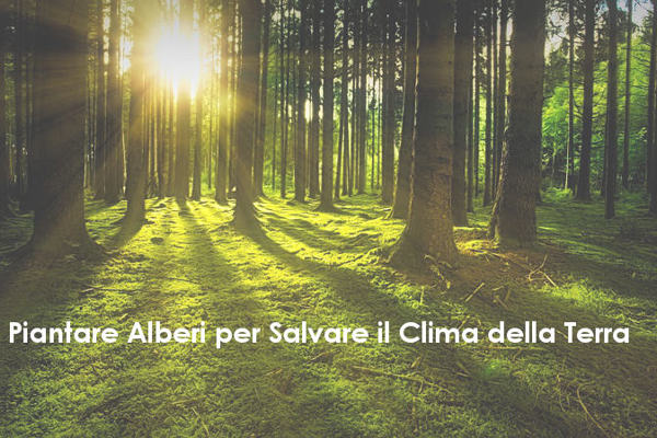 A Madrid Sfila il Vertice sul Clima di Santiago del Cile