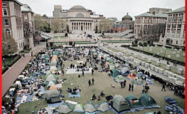 Perché il Movimento dei Campus Americani Pro-Palestina é Importante