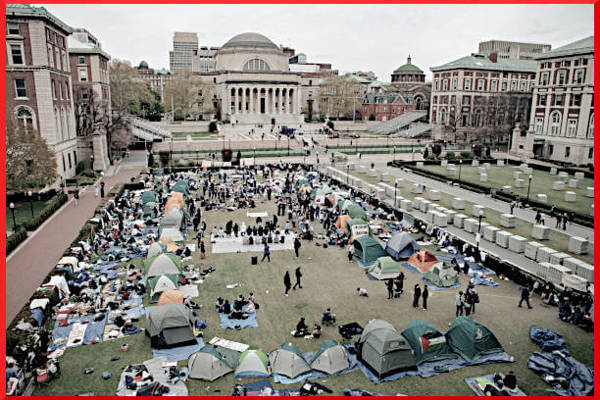 Perché il Movimento dei Campus Americani Pro-Palestina é Importante