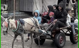 Israele Ordina l'Evacuazione di Rafah, Inizia la Battaglia Finale?