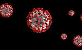 COVID-19, alla Ricerca del Vaccino che Non c'e'