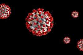 CORONAVIRUS TRA CIPOLLE ROSSE E PREVISIONI NERE, LA SECONDA ONDATA E' IN VISTA